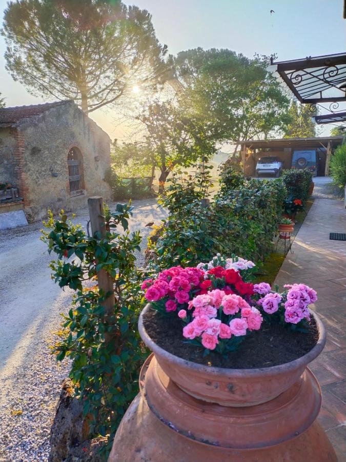 Azienda Agricola Polveraia San Gimignano Exteriör bild
