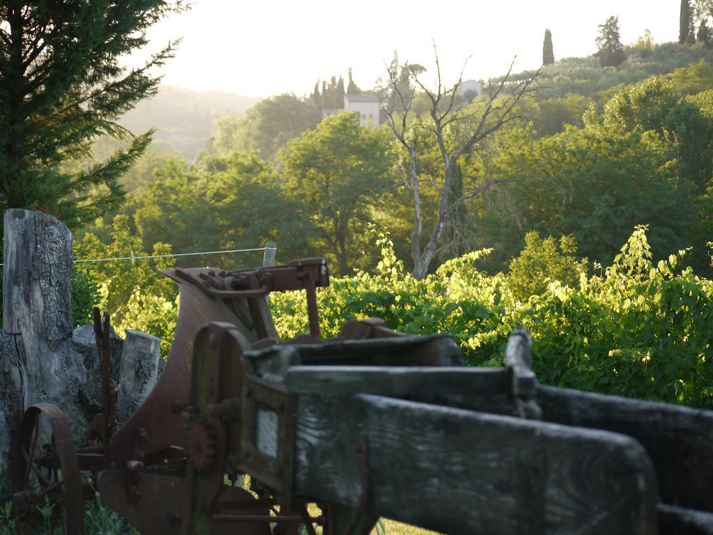 Azienda Agricola Polveraia San Gimignano Exteriör bild