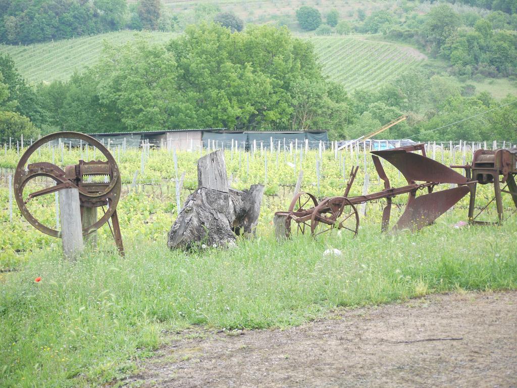 Azienda Agricola Polveraia San Gimignano Exteriör bild