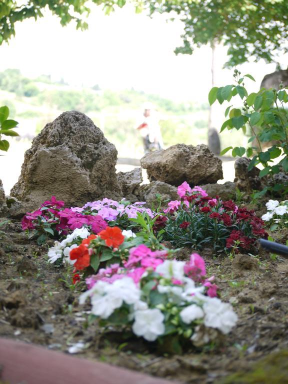Azienda Agricola Polveraia San Gimignano Exteriör bild