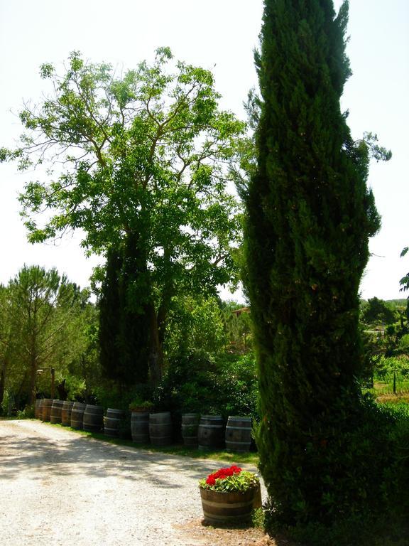 Azienda Agricola Polveraia San Gimignano Exteriör bild