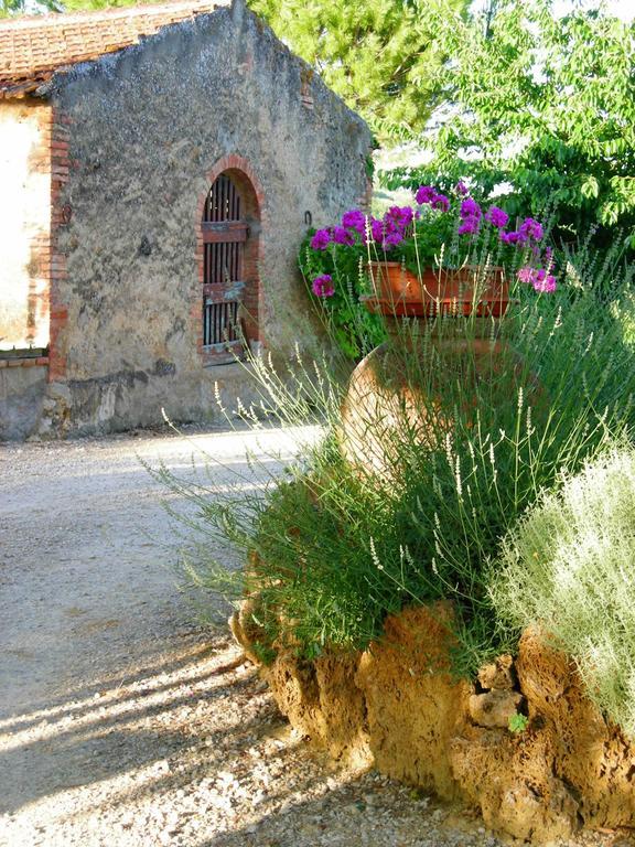 Azienda Agricola Polveraia San Gimignano Exteriör bild