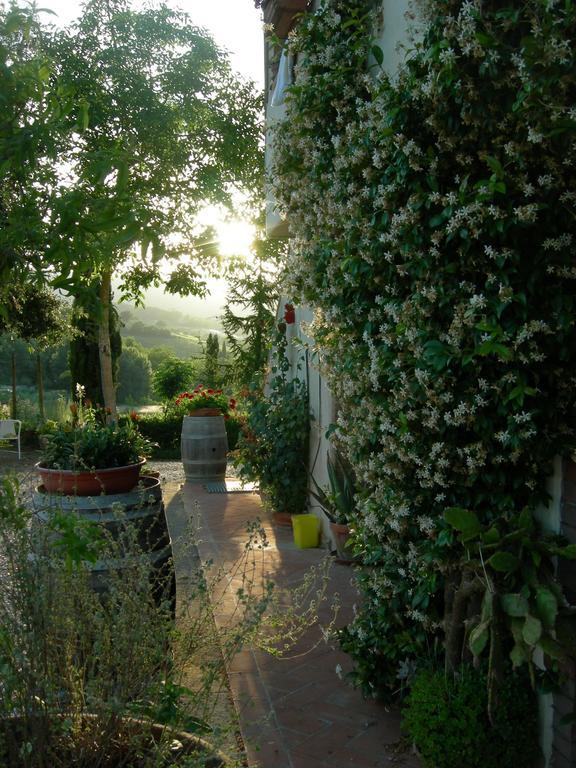 Azienda Agricola Polveraia San Gimignano Exteriör bild