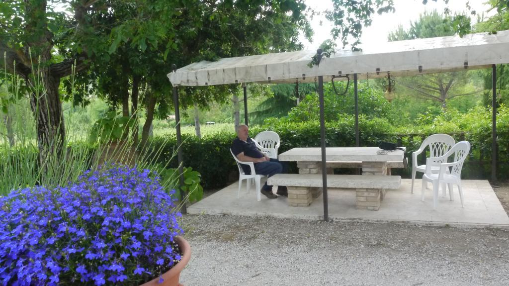 Azienda Agricola Polveraia San Gimignano Exteriör bild