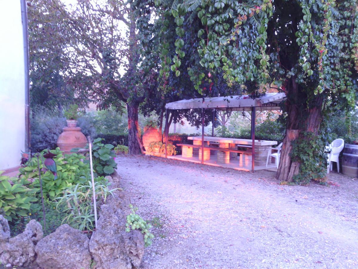 Azienda Agricola Polveraia San Gimignano Exteriör bild